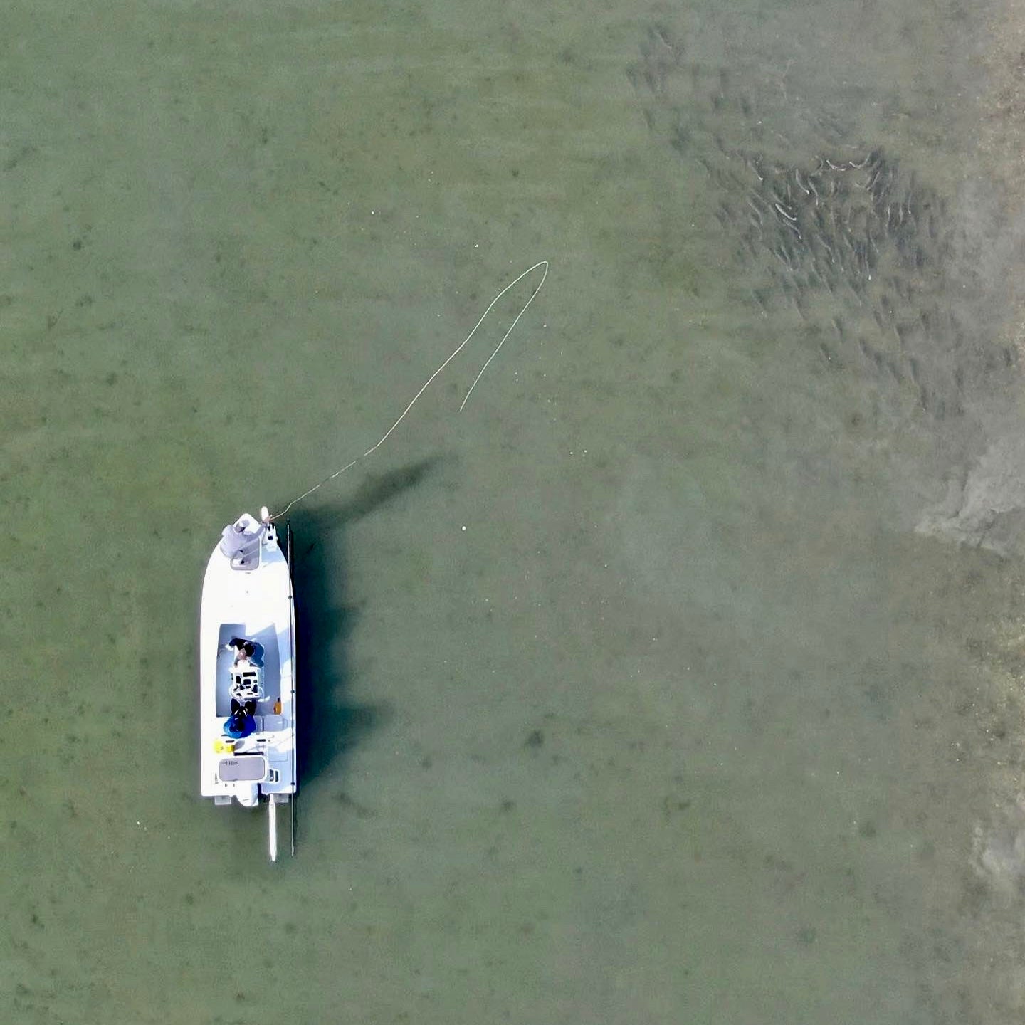 WATCH! Almost as good as winning the lottery! 😀 When ya find a mega jackpot school of happy hungry redfish like these 🔥