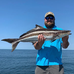 Hilton Head Cobia Fishing