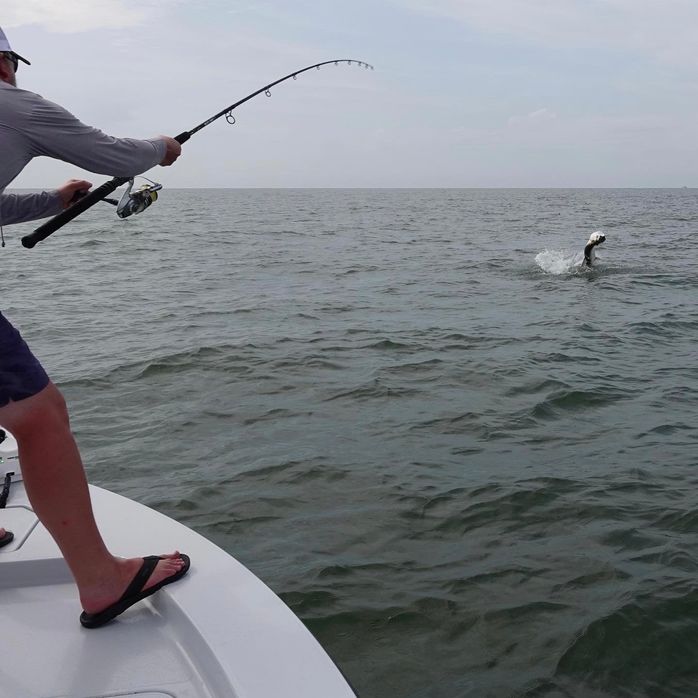 Off The Hook slam catching tarpon, jacks, redfish and all the sharks you want.
