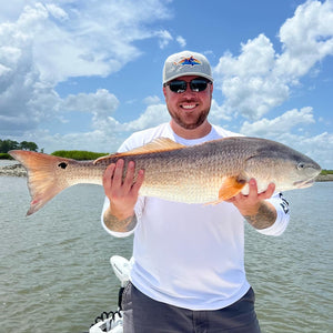 On the reds good today!