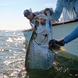 Nice tarpon to start off the week along with some great inshore action from today and the weekend.
