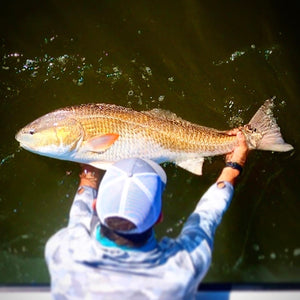 Catch-Picture-Release!