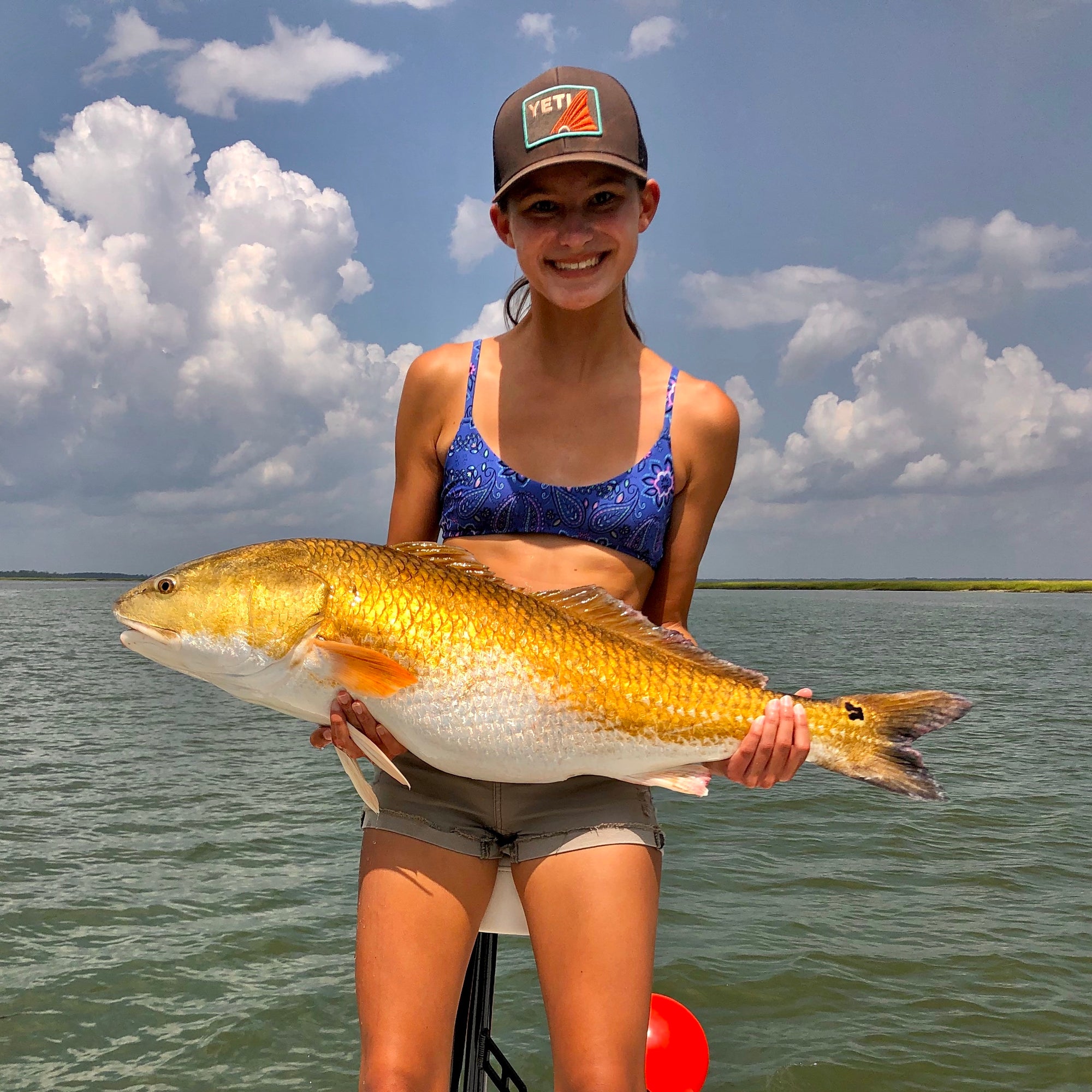 Bulls Reds Are Moving In!