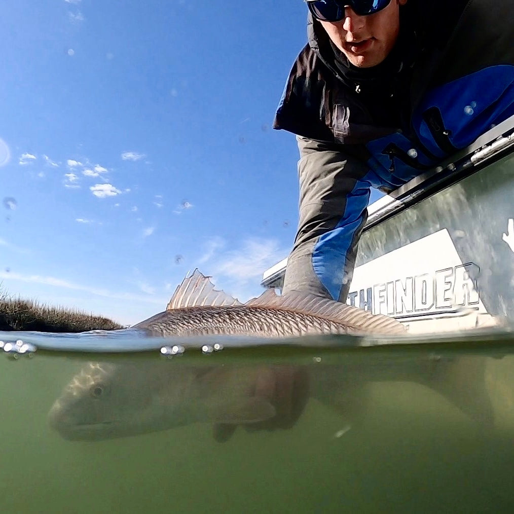 inshore action the last few days has been great!