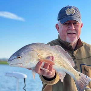 Some great inshore action the last few days