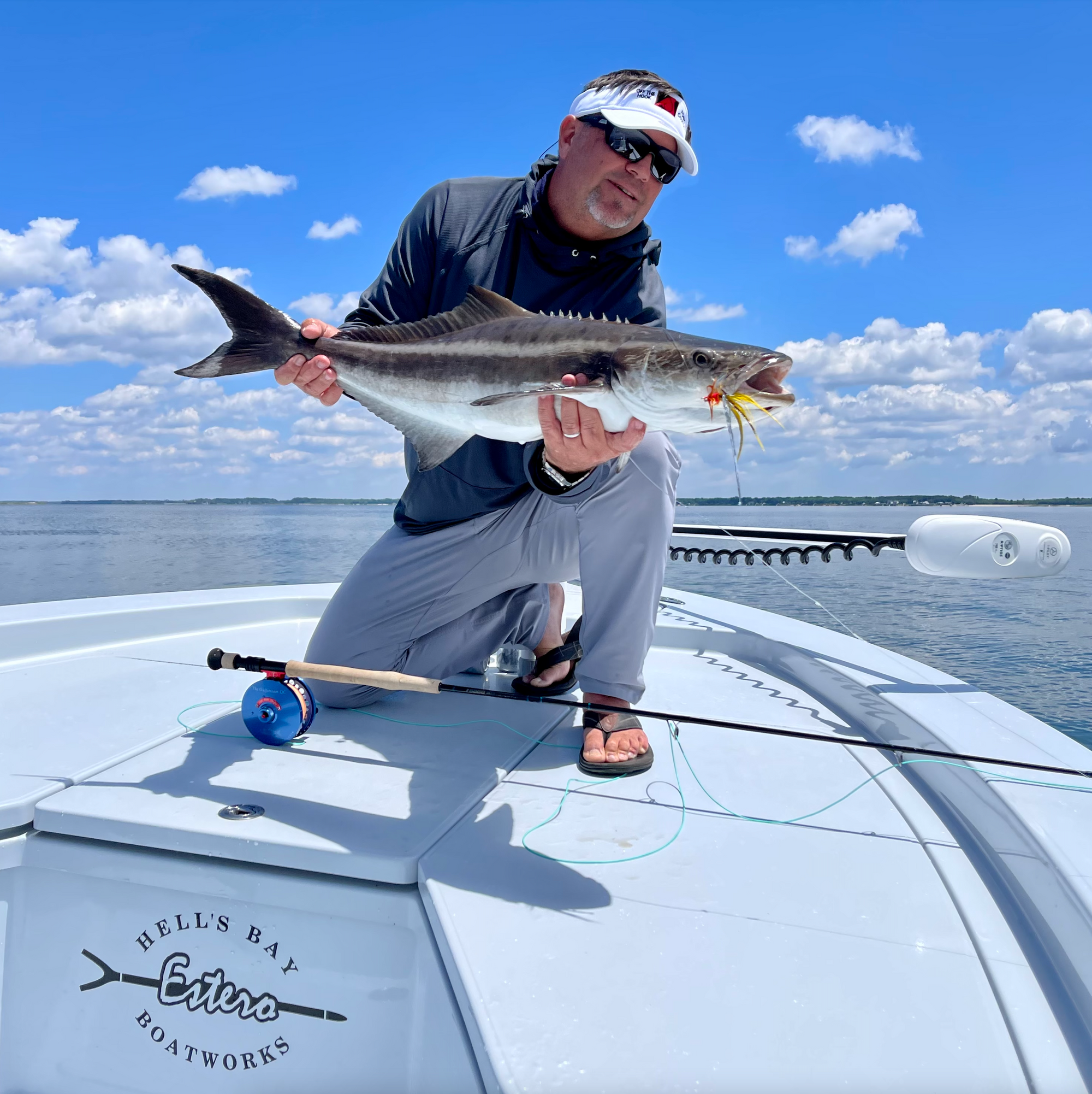 Some classic cobia sight fishing today.
