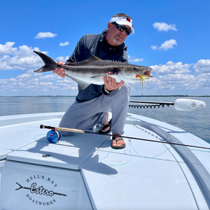 Some classic cobia sight fishing today.