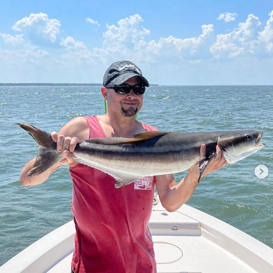 Some great action inshore and nearshore today on cobia, sharks and redfish.