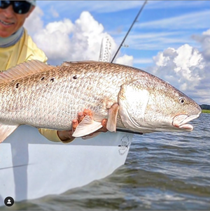 Getting some nice bull reds the last few days.