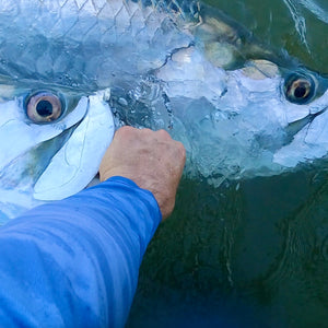 Epic day going 4-for-5 on Tarpon!