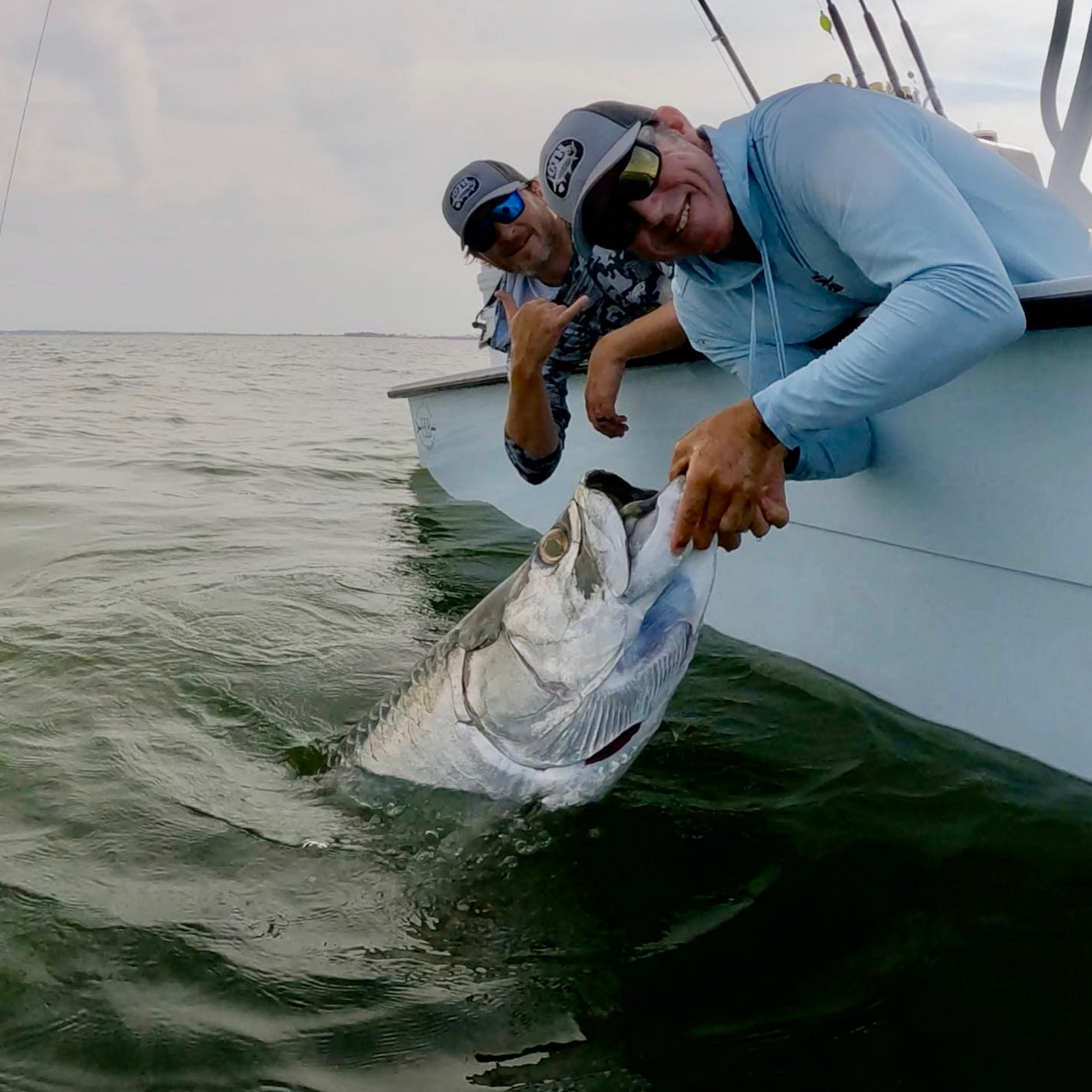 Tarpon Tuesday! Hooked 6 landed 3!