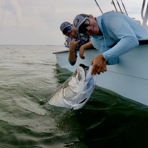 Tarpon Tuesday! Hooked 6 landed 3!