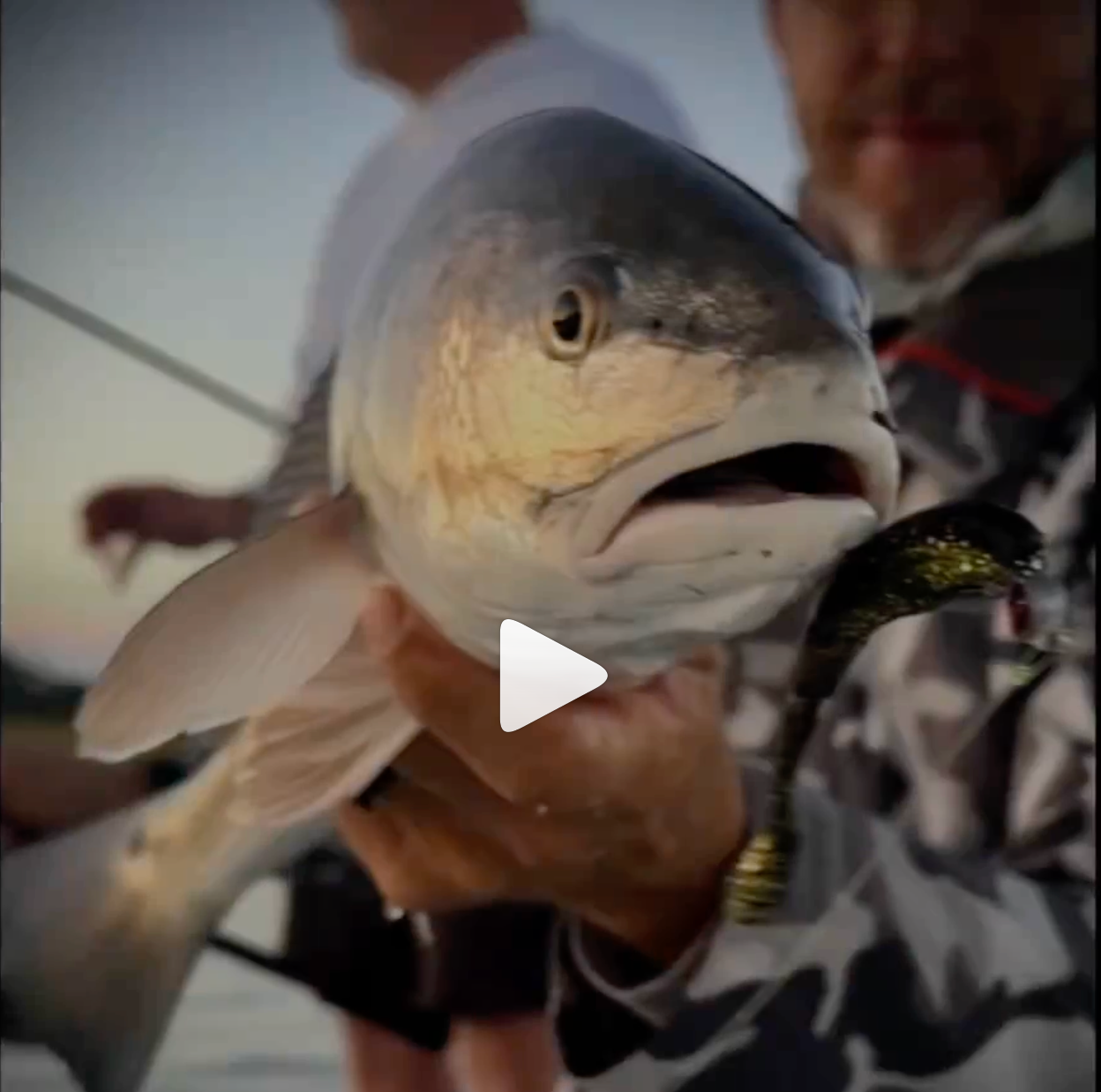 The inshore bite was on 🔥 today!