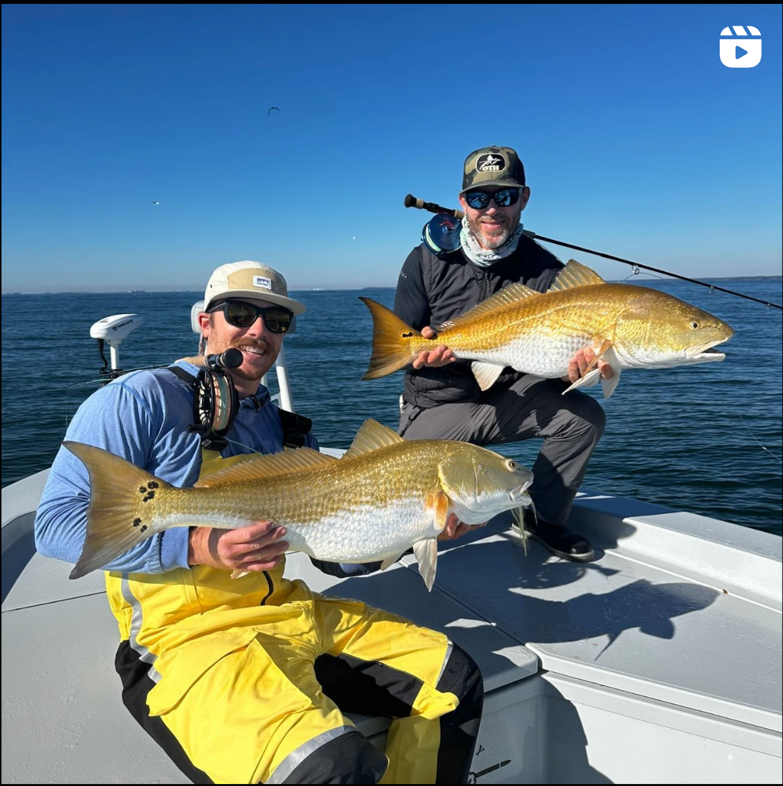 Watch This Insane Bull Redfish Fishing Of Of Hilton Head!