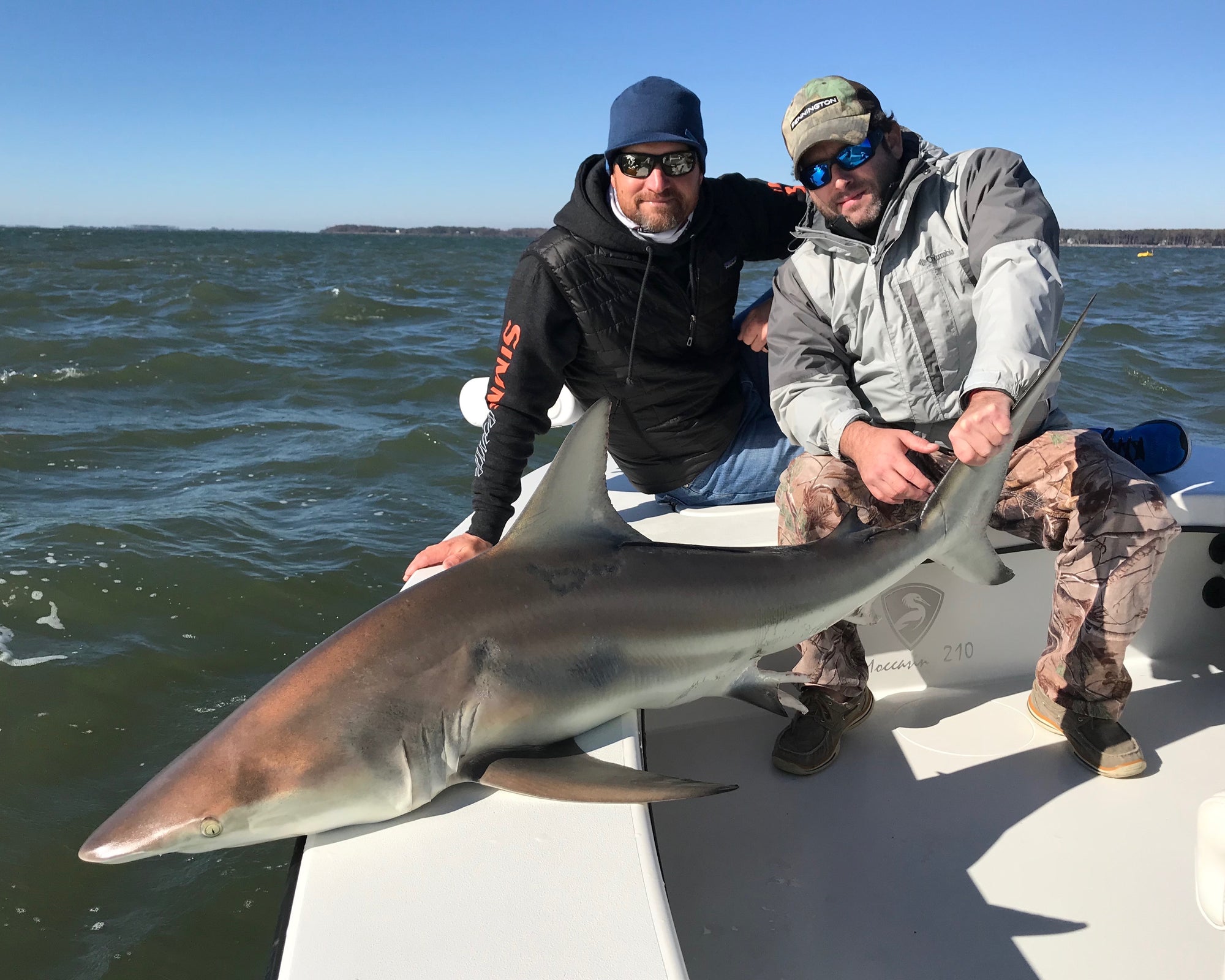 Hil Head Shark Fishing with Off The Hook Fishing Charters